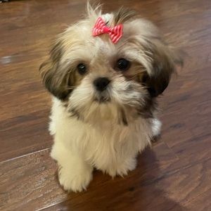 Meet your Posher, Jenna